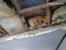 松本ベランダ防水
