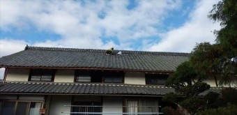 雨漏り補修瓦工事 大屋根