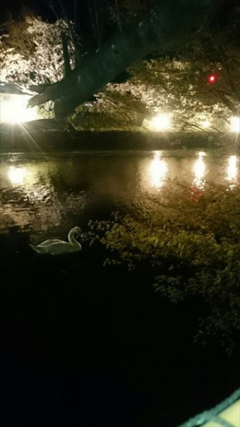 松本城