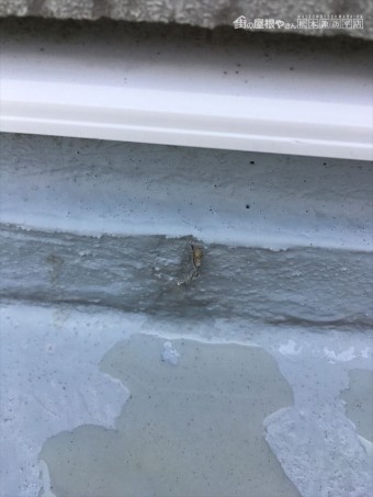 FRP 雨漏り