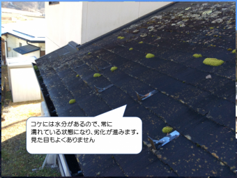 スレート屋根コケの発生