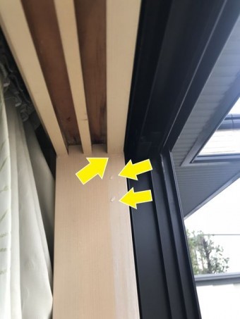 塩尻市片丘雨漏り三部作