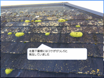 スレート屋根コケの発生