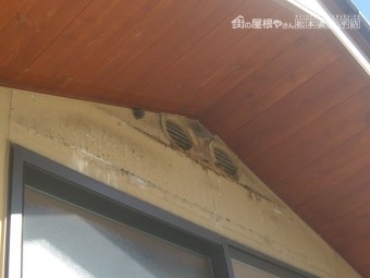 塩尻市コウモリ対策