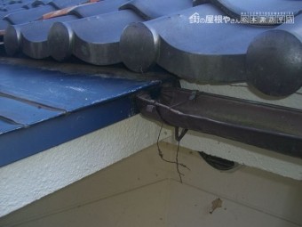 東筑摩郡麻績村 雨漏り