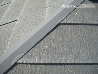 塩尻市広丘飛散K様