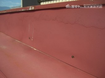 松本市埋橋カサギN様