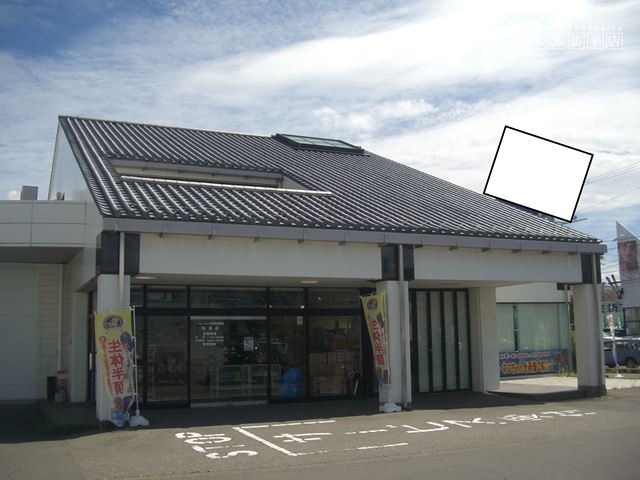 松本市村井ペットショップ