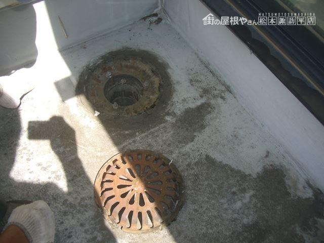 松本市村井ペットショップ