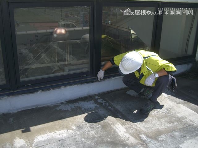 松本市村井ペットショップ