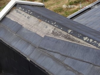 下諏訪屋根壁現調