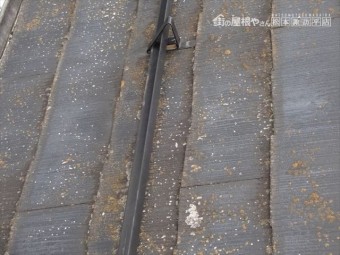 下諏訪屋根壁現調