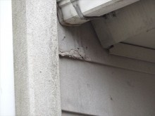 下諏訪屋根壁現調