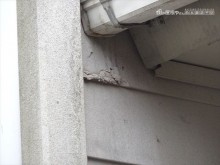 下諏訪屋根壁現調