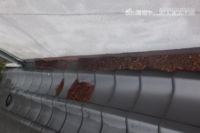 辰野雨漏り