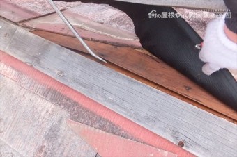 棟下地 劣化
