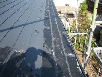 塩尻市M邸屋根塗装
