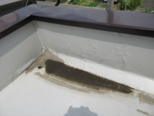 雨漏り樋交換