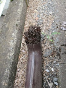 雨漏り樋交換