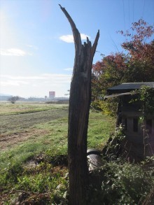 安曇野市三郷 倉庫屋根葺き替え