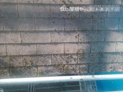 諏訪山荘屋根壁修繕