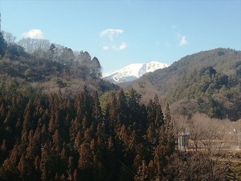 大桑村