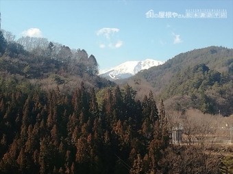 大桑村
