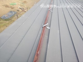 松本市寿屋根下見
