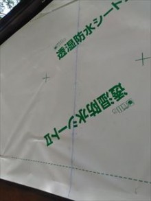 きつつき