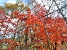 別荘の工事