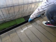 雨樋