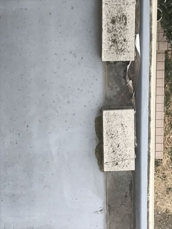 松本市中山M邸 貸家塗装