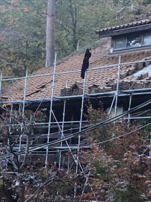 デザイングリフォーム