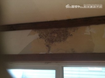 堀金雨漏り