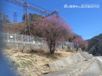 大桑村現調