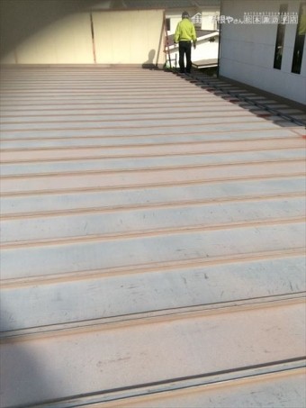 IMG_7327_R-columns2-overlay