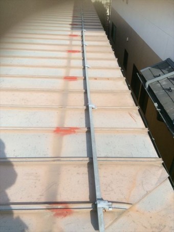IMG_7333_R-columns2