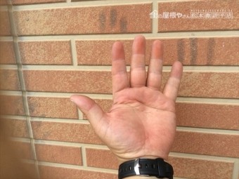 片岡現調