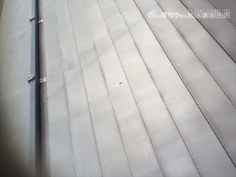 片岡現調