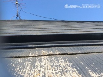 吉田10年点検