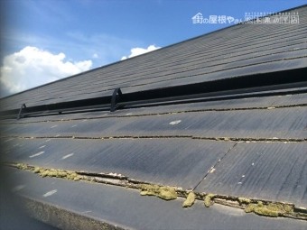 吉田10年点検