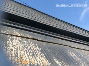 吉田10年点検