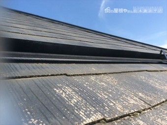 吉田10年点検