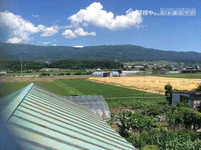 野村常会