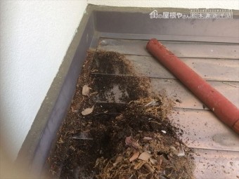 陽だまり