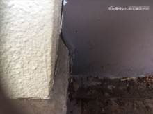 陽だまり