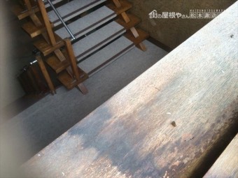 陽だまり
