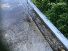 諏訪陸屋根