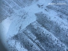 諏訪陸屋根