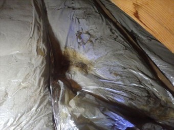 小屋浦断熱材雨染み
